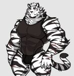 absurd_res anthro arknights biped bulge clothed clothing darknaigart eye_scar eyebrows facial_scar felid fingers fur hi_res hypergryph male mammal mountain_(arknights) muscular muscular_anthro muscular_male pantherine pecs scar solo striped_body striped_fur stripes studio_montagne tail tiger white_body white_fur