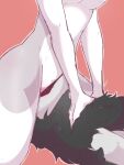 anonymous_artist breasts cunnilingus duo facesitting female female_on_top hi_res king_chulapa male male/female neck_tuft on_top open_mouth oral sergal sex sitting_on_another thick_thighs tuft under_boob unknown_artist vaginal victoria_(sergal)