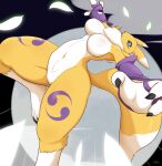 anthro bandai_namco black_sclera blue_eyes breasts canid canine digimon digimon_(species) featureless_breasts featureless_crotch female fur looking_at_viewer mammal nude padawanko renamon solo tail tuft white_body white_fur yellow_body