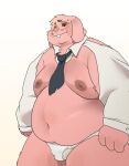 2024 anthro belly big_belly bulge cartoon_network clothing kemono lagomorph leporid male mammal moobs navel necktie nipples overweight overweight_male pink_body qqmelon888 rabbit richard_watterson simple_background solo the_amazing_world_of_gumball underwear white_background