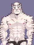  1boy abs animal_ears arknights bara biceps black_male_underwear bulge cowboy_shot cross-laced_underwear equinoxreverie facial_hair flaccid furry furry_male goatee highres large_pectorals looking_at_viewer male_focus male_underwear mountain_(arknights) muscular muscular_male navel nipples one_eye_closed pectorals penis penis_peek scar scar_across_eye scar_on_arm seductive_smile short_hair simple_background smile solo standing stomach straight-on thick_eyebrows tiger_boy tiger_ears topless_male underwear undressing white_fur white_hair 