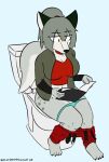 anthro big_breasts bottomwear bottomwear_down breasts clothed clothing female grace_saberklaww_(bjkgreywolf) hair hyena implied_scat mammal notmypornaccount on_toilet panties panties_down partially_clothed ponytail reading sitting_on_toilet solo toilet_use underwear underwear_down