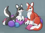  animate_inanimate balloon brown_eyes canid canine duo feral grey_body inflatable living_inflatable mammal pool_toy red_body symrea 