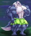  2015 4_toes 5_fingers anthro big_muscles boxers_(clothing) canid canine canis clothed clothing eyewear feet fierglief fingers fur glasses hair hi_res huge_muscles hyper hyper_muscles male mammal multicolored_body multicolored_fur muscular plantigrade smile solo standing toes underwear underwear_only white_hair wolf 