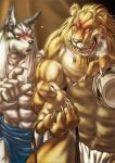  2003 anthro asian_clothing barazoku blush canid canine canis clothing duo east_asian_clothing felid fundoshi ghq hukuroushi humanoid_hands japanese_clothing kemono lion male mammal muscular muscular_male pantherine pecs underwear wolf 