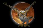  2018 ambiguous_gender avian barn_owl bird black_background brown_body brown_feathers feathers feet female_(lore) feral guardians_of_ga&#039;hoole hagsfiend ignigeno moon nyra_(gogh) open_mouth owl scar simple_background solo talons toes tyto tytonid white_body white_feathers yellow_eyes 