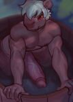  absurd_res anthro athletic athletic_anthro athletic_male big_penis brown_body brown_fur capybara caviid diadorin erection fur genitals hair half-closed_eyes hi_res huge_penis humanoid_genitalia humanoid_penis male mammal muscle_tone narrowed_eyes nude partially_submerged pecs penis rodent smile solo standing_in_water vein veiny_penis white_hair 
