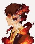  1boy artist_name avatar:_the_last_airbender avatar_legends black_hair burn_scar closed_mouth commentary dragon eastern_dragon english_commentary fire from_side highres litarnes long_sleeves male_focus scar scar_across_eye scar_on_face short_hair solo zuko 