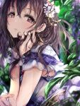  1girl blurry blush brown_hair depth_of_field dress earrings flower from_side fujiwara_hajime glint hair_between_eyes hair_flower hair_ornament hand_on_own_face hand_up head_rest highres idolmaster idolmaster_cinderella_girls idolmaster_cinderella_girls_starlight_stage jewelry leaf long_hair looking_at_viewer lying on_stomach parted_lips pink_flower purple_dress purple_eyes purple_flower redeye_(artist) scrunchie smile solo white_flower white_scrunchie wrist_scrunchie 