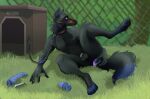  2023 4_toes 5_fingers anal anal_masturbation anal_penetration anthro balls bdsm black_body black_fur black_pawpads blue_eyes blue_markings blue_tail_tip blurred_background buttplug canid canine canis chain chain-link_fence chained chained_collar chastity_cage chastity_device claws collar crazydonkey day digitigrade dildo dildo_in_ass dildo_insertion dipstick_tail doghouse feet fence fingers fluffy fluffy_tail fur genitals grass hi_res lube_in_ass lube_on_dildo male mammal markings masturbation metal_chastity_cage muzzle_(object) muzzled neck_tuft nude object_in_ass outdoor_nudity outside pawpads penetration petplay plant plug_(sex_toy) puppyplay raised_leg ribbed_dildo roleplay sex_toy sex_toy_in_ass sex_toy_insertion slim_male solo tail tail_markings toe_claws toes tuft vibrator wolf 