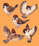  animal_focus beak biabiabia8 bird eurasian_tree_sparrow highres no_humans orange_background original simple_background sparrow spread_wings 