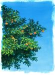  blue_sky border day food fruit highres nature no_humans orange original outdoors sawitou_mizuki scenery sky still_life tree white_border 
