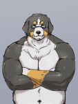  2021 anthro belly bernese_mountain_dog black_body black_fur brown_body brown_fur canid canine canis domestic_dog eyewear fur glasses hi_res kemono male mammal maron2475 molosser mountain_dog navel overweight overweight_male simple_background solo swiss_mountain_dog white_body white_fur 
