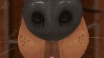  16:9 ambiguous_gender animated big_tongue black_body black_fur black_lips black_nose bodily_fluids breath brown_markings canid canine canis ceiling close-up dobermann domestic_dog dripping drooling drooling_tongue feral first_person_view fur glistening glistening_tongue hi_res inside lazy_sunshine licking licking_viewer lips long_tongue loop mammal markings mouth_shot open_mouth pink_tongue pinscher saliva saliva_drip saliva_on_tongue saliva_string sharp_teeth signature solo teeth throat tongue tongue_out wet wet_tongue whiskers widescreen 
