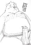  2021 anthro balls blush erection genitals humanoid_genitalia humanoid_penis japanese_text kemono koh_say_ello male mammal overweight overweight_male penis simple_background sketch solo text ursid white_background 
