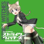  animal_ears disc_cover lynette_bishop mecha_musume nekomimi pantsu strike_witches tagme tail uniform 