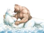  4:3 anthro biceps canid canine canis domestic_dog duo eyes_closed fur male male/male mammal meguru_salmon muscular muscular_anthro muscular_male nipples pecs romantic_ambiance water white_body white_fur 