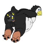  anal anal_vore animal_genitalia anthro avian balls bird canid canine canis dove_the_penguin duo genitals hi_res looking_back_at_partner male male/male mammal membrane_(anatomy) pandao3o paws penguin softdiamond vore webbed_feet wolf 