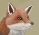  bust_portrait canid canine digital_media_(artwork) feral fox mammal painting portrait solo tilo 