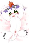  &lt;3 2:3 animal_genitalia anus bashful blush bodily_fluids claws cotora cum cum_in_ass cum_inside cum_on_penis cute_fangs digimon digimon_(species) erection fur genital_fluids genital_slit genitals gomamon green_eyes hands_covering_face hi_res looking_at_viewer lying male mammal marine markings on_back open_mouth penis pink_penis pinniped presenting presenting_penis purple_markings quadruped seal slit smile solo spread_legs spreading tapering_penis white_body white_fur 