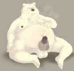  2021 anthro balls belly erection fur genitals handjob hi_res humanoid_genitalia humanoid_hands humanoid_penis loafbeaw male mammal moobs nipples obese obese_male overweight overweight_male penile penis polar_bear sex sitting solo ursid ursine white_body white_fur 