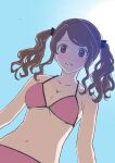  1girl amagami bikini blue_sky blush breasts brown_eyes brown_hair cleavage from_below highres medium_breasts nakata_sae navel parted_lips pink_bikini sky solo sunlight swimsuit twintails upper_body warder2013 wavy_hair 