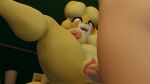  16:9 3d_(artwork) 4k absurd_res animal_crossing anthro big_breasts blender_(software) blush bodily_fluids breasts butt canid canine canis clitoris digital_media_(artwork) domestic_dog duo erection faceless_character faceless_male female female_penetrated fur genitals hair hi_res human interspecies isabelle_(animal_crossing) male male/female male_penetrating male_penetrating_female mammal nintendo nipples nude open_mouth penetration penis pussy sex shih_tzu smile spread_legs spreading toy_dog twintailssfm vaginal vaginal_penetration video_games widescreen yellow_body yellow_fur 