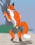  baggy_clothing baggy_pants bottomwear bulge canid canine clothing feral fox human_to_feral male mammal mid_transformation plant red_fox shorts solo species_transformation standing transformation tree tsukikibaokami underwear 