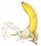  banana food fruit haison inanimate 