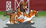  copper disney tagme the_fox_and_the_hound todd 