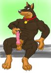  abs animal_genitalia anthro balls biceps blitz brown_fur canine canine_penis claws collar doberman dog erection fur knot looking_at_viewer male mammal masturbation muscles nude pecs penis pose road_rovers sheath sitting solo toe_claws 