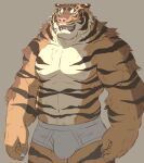  2021 anthro barazoku belly bulge clothing felid gadoran kemono male mammal musclegut nipples pantherine slightly_chubby solo tiger underwear 