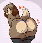  &lt;3 animal_crossing anthro big_butt blush bottomwear butt canid canine canis clothed clothing digby_(animal_crossing) domestic_dog fur hair holidaydipstick huge_butt looking_at_viewer looking_back male mammal nintendo pants_down partially_clothed shih_tzu simple_background solo thong toy_dog underwear video_games 
