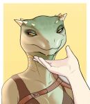  anthro argonian bethesda_softworks breasts clothed clothing cokesero deeja duo female female_focus green_body hi_res human mammal scalie simple_background solo_focus the_elder_scrolls video_games 