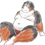  1:1 2021 anthro belly bernese_mountain_dog black_body black_fur black_nose brown_body brown_fur canid canine canis clothing domestic_dog fur hi_res kemono male mammal molosser mountain_dog navel overweight overweight_male simple_background sitting solo swiss_mountain_dog underwear white_background white_body white_fur yaki_atsuage 