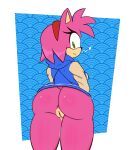  &lt;3 absurd_res accessory amy_rose anthro bottomless butt clothed clothing eulipotyphlan eyelashes female genitals green_eyes hair_accessory hairband hedgehog hi_res hoodie looking_at_viewer looking_back mammal pattern_background pink_body portrait pussy quills rear_view simple_background smile solo sonic_the_hedgehog_(series) sweetdandy thick_thighs three-quarter_portrait topwear 