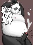  2021 3:4 anthro balls belly black_body black_fur bodily_fluids cum ejaculation erection eyes_closed fur genital_fluids genitals giant_panda hi_res japanese_text kemono koh_say_ello male mammal moobs nipples overweight overweight_male penis solo text ursid white_body white_fur 