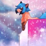  1:1 2020 animacityidol blue_body blue_fur blue_hair brand_new_animal brown_body brown_fur canid canine chest_tuft digital_media_(artwork) female feral fluffy fluffy_tail fur hair mammal michiru_kagemori outside paws raccoon_dog smile snow solo studio_trigger tanuki tuft 