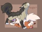 absurd_res age_difference animal_genitalia balls canid canine canine_genitalia dusk_lycanroc fan_character fellatio generation_3_pokemon generation_7_pokemon genitals grumpy hi_res knot knotted_penis lycanroc lycanroc_kevin_(mateocorv) male male/male mammal mateocorv mightyena nintendo older_male oral oral_penetration penetration penile penis pokemon pokemon_(species) sex size_difference
