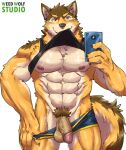  abs anthro balls barrel_(live-a-hero) canid canine canis cellphone clothing english_text flaccid genitals live-a-hero male mammal mirror_selfie muscular muscular_anthro muscular_male nipples pecs penis phone pubes selfie shirt smartphone solo tank_top text topwear underwear underwear_down weedwolfeatmeat wolf 