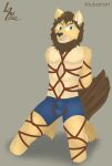  absurd_res anthro bdsm bondage bound bulge clothed clothing digital_media_(artwork) felid fur hair hi_res lion lubanart male mammal pantherine rope rope_bondage rope_harness simple_background solo submissive underwear 