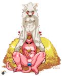  animal_genitalia anthro baja_(twinkle_bomb) canid canine canis collar collar_only domestic_cat duo eating_feces feces feces_in_mouth felid feline felis female female/female genitals gynomorph hi_res intersex mammal multi_nipple nipples nude pooping scatplay sheath toa_(twinkle_bomb) twinkle_bomb wolf 