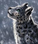  2021 ambiguous_gender black_spots blue_eyes digital_media_(artwork) felid feral flashw fur grey_body grey_fur headshot_portrait mammal pantherine portrait smile snow_leopard solo spots spotted_body spotted_fur whiskers 