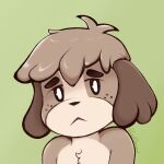  animal_crossing anthro black_nose black_sclera brown_body brown_fur brown_hair canid canine canis digby_(animal_crossing) domestic_dog fur green_background hair hi_res looking_at_viewer male mammal nintendo sherwind52 signature simple_background solo video_games white_eyes 
