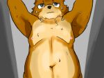  anthro hi_res male mammal nude overweight overweight_anthro overweight_male solo solo_focus ursid 