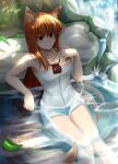  animal_ears bathing holcen_hosen holo spice_and_wolf tail towel 