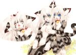  &lt;3 2017 anthro bell bell_collar blue_eyes breast_grab breasts collar domestic_cat duo felid feline felis female female/female fur green_eyes grey_body grey_fur hair hand_on_breast hi_res karin kissing mammal nude simple_background smile tetetor-oort white_hair 