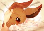  animal_focus banchiku bangs bed_sheet blush brown_eyes commentary_request disembodied_limb eevee fluffy gen_1_pokemon hand_on_another&#039;s_face light_blush open_mouth petting pokemon pokemon_(creature) solo_focus star_(symbol) star_in_eye swept_bangs symbol_in_eye under_covers upper_body white_background 