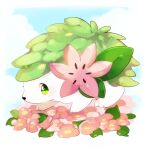  absurdres animal_focus banchiku blue_sky blush border cloud commentary_request day flower from_side full_body gen_4_pokemon green_eyes highres legendary_pokemon light_blush looking_at_viewer mythical_pokemon no_humans outdoors pink_flower pokemon pokemon_(creature) shaymin shaymin_(land) sky solo white_border 