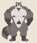 4_toes anthro areola arm_markings barazoku biceps big_muscles big_pecs biped black_body black_claws black_fur black_nose black_toe_claws claws countershade_face countershade_fur countershade_torso countershading deltoids digital_drawing_(artwork) digital_media_(artwork) facial_markings featureless_crotch feet fingerless_(marking) fingerless_gloves_(marking) fingers fist flat_colors front_view full-length_portrait fur gloves_(marking) grey_body grey_fur grey_inner_ear head_markings hi_res huge_muscles humanoid_hands hyper hyper_muscles leg_markings looking_at_viewer male male_anthro mammal manly markings mask_(marking) monotone_background multicolored_body multicolored_fur muscular muscular_anthro muscular_arms muscular_male muscular_thighs navel nipples nude nude_anthro nude_male pecs plantigrade portrait procyonid pubes purple_areola purple_eyes purple_nipples purple_nose quads raccoon ring_(marking) ringed_tail shoulder_markings simple_background simple_eyes socks_(marking) solo standing striped_body striped_fur striped_markings striped_tail stripes tail tail_markings theor toe_claws toeless_(marking) toeless_socks_(marking) toes trapezius triceps white_body white_countershading white_fur